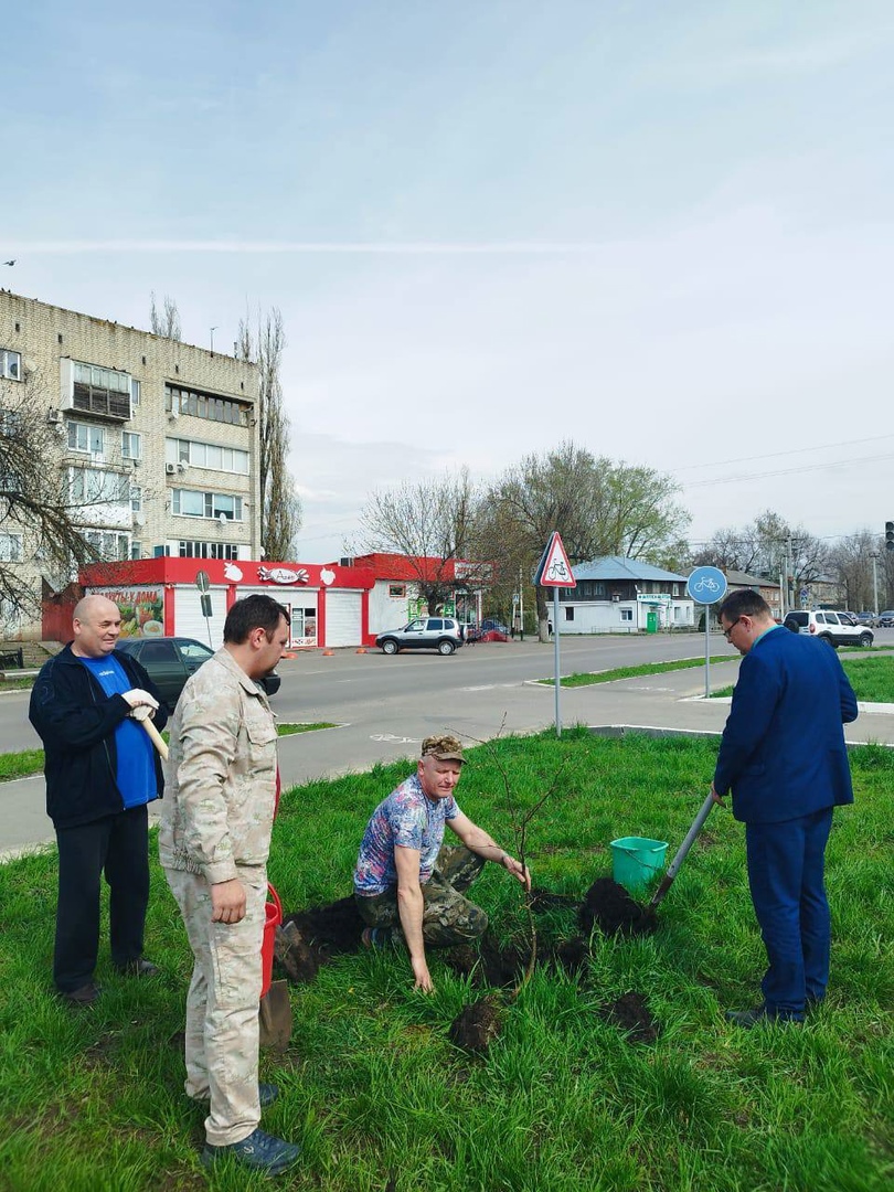 В рамках месячника по благоустройству в сквере «Юность» администрация района совместно с волонтерами провела акцию по высадке деревьев..