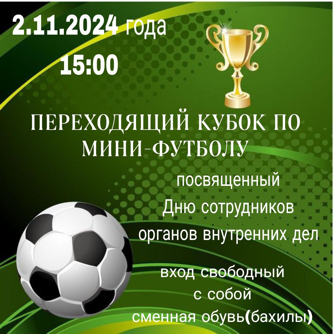 Уже завтра, 2 ноября, в «ДЮСШ» г. Аркадака состоится Кубок по мини-футболу, посвященный Дню сотрудников органов внутренних дел..